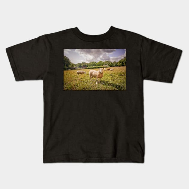 The Ram Kids T-Shirt by RJDowns